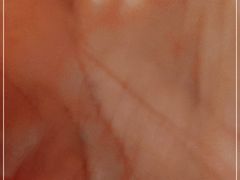 -麦当劳(华融店)