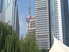 -陆家嘴中心绿地