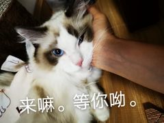 -美迦爱-牙专科·兔科·骨科诊疗中心(北苑店)