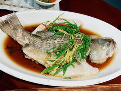 -阳光茶餐