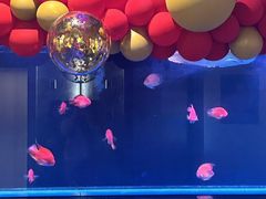 -山水温泉