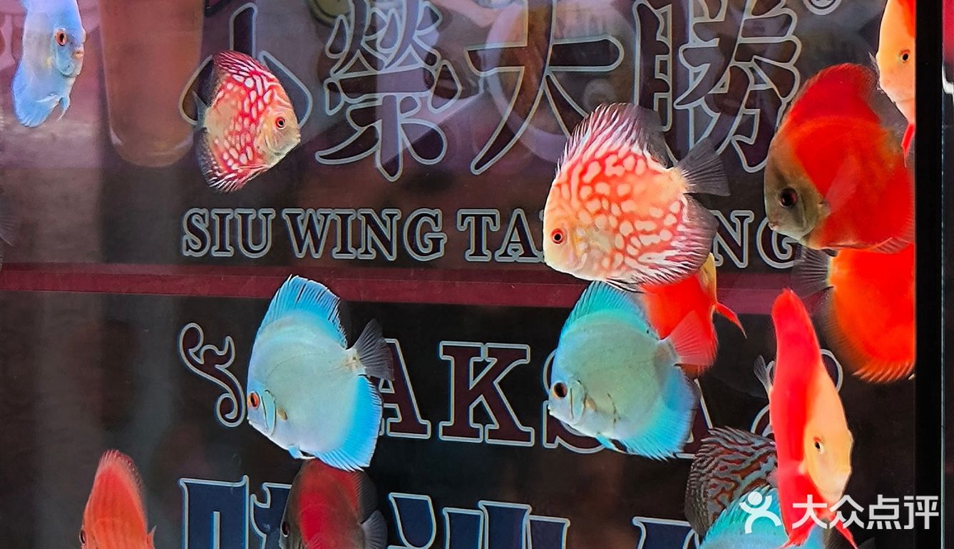 港味美食必不可少，一定要“星爺同款”