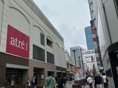 -秋叶原电器街