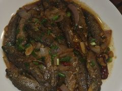 -岳季煎饺