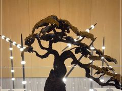 -豫璟轩中餐厅(南昌万怡店)
