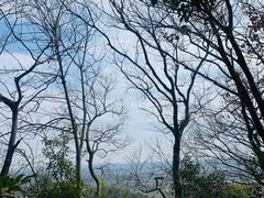 -上海佘山国家森林公园天马山园