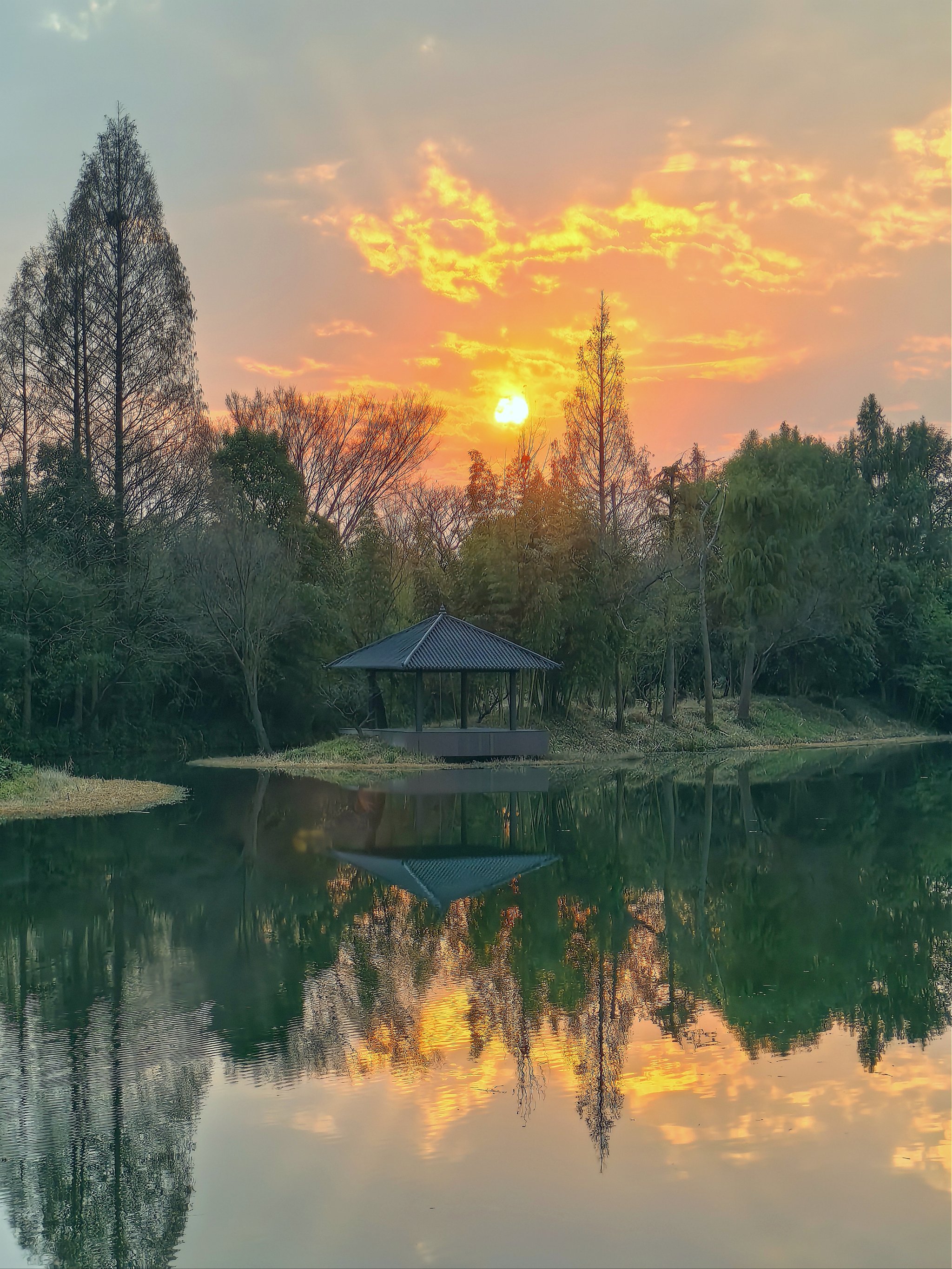 杭州西溪湿地宾馆图片