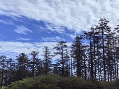 -瓦屋山景区