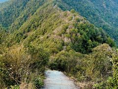 -午潮山国家森林公园