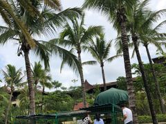 -西双版纳融创皇冠假日度假酒店