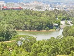 -聚龙山公园