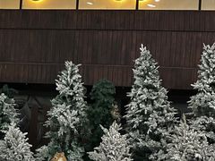 -世界之窗阿尔卑斯冰雪世界