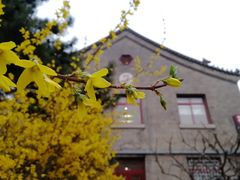 -中央民族大学