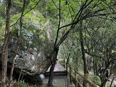 -牛背梁国家森林公园