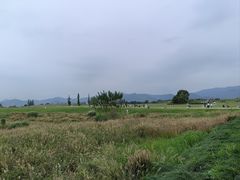 -良渚古城遗址公园