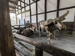 -燊海井