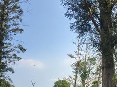 -华夏文化旅游区三甲港海滨区