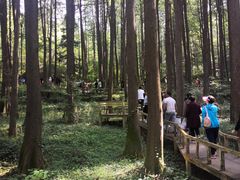 -波尔登森林公园