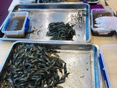 现场手剥虾-朱洪元苏式面馆(绿宝广场店)