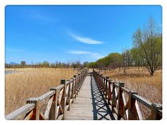 -野鸭湖国家湿地公园