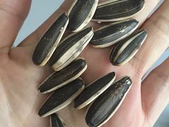 -粒上皇(五岭店)