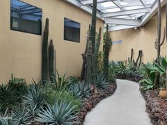 -正佳雨林生态植物园