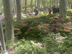 -仁和公园(顺义区)