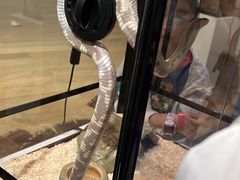 -上海昆虫博物馆