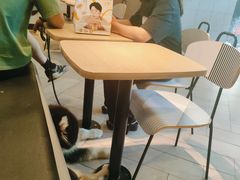-麦当劳(塔园路店)
