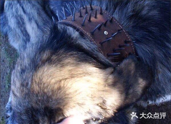 涨涨见识
