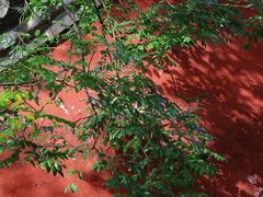 -青州市云门山风景区