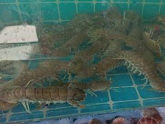 -锅老头铁锅炖•大锅蒸汽海鲜(韩乐坊店)