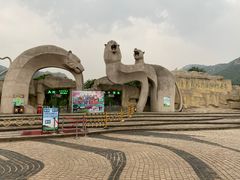 -青岛森林野生动物世界