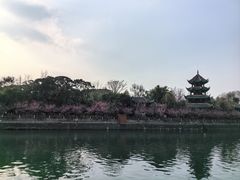 -望江楼公园