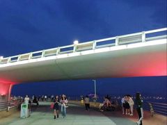 -演武大桥观景平台