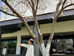 -苏州独墅湖世尊酒店