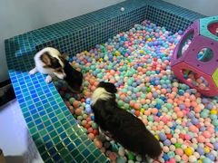 -太阳岛度假酒店