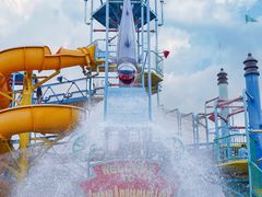 -苏州乐园森林水世界