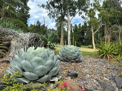 -墨尔本皇家植物园