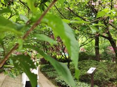 -南山植物园