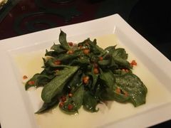 沙棘冰草-九十九顶毡房(阜石路店)