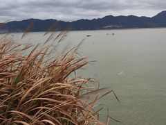 -北岐滩涂