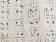 -赵汝飞练字硬笔书法(静安寺校区)