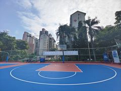 -金湖花园篮球场