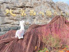 -北京西山国家森林公园