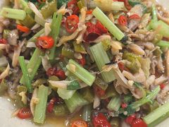 小炒河蚌肉-贺记湘菜馆(东体育会路店)