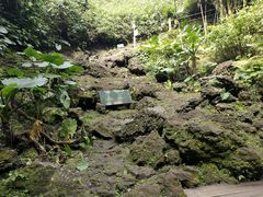 -海口火山口国家地质公园