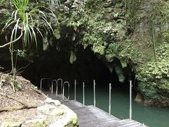 -怀托摩萤火虫洞