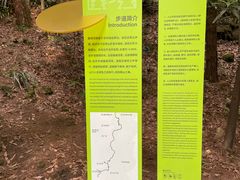 -南山植物园