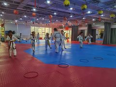 -陈中跆拳道(中关村馆)